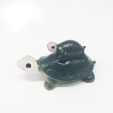 floating tortoise